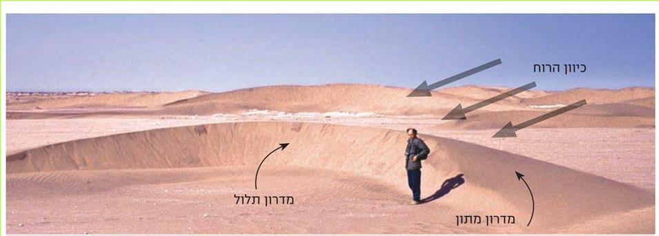 חולית סהרונית בנמיביה, אפריקה. החולית הסהרונית היא חולית בעלת צורה של חצי סהר (חצי ירח), ומכאן שמה. חוליות בעלות צורה כזאת נוצרות במקומות שבהם הרוח השלטת מגיעה מכיוון אחד קבוע, והחול נערם בניצב לכיוון הרוח. לחולית הסהרונית יש מדרון מתון בצד שהרוח נושבת ממנו, ומדרון תלול בצד הנסתר מן הרוח. חלק מן הרוח עוקף את החולית משני הצדדים ומשקיע שם חול. כך מתארכים שולי החולית ונוצרות שתי ה